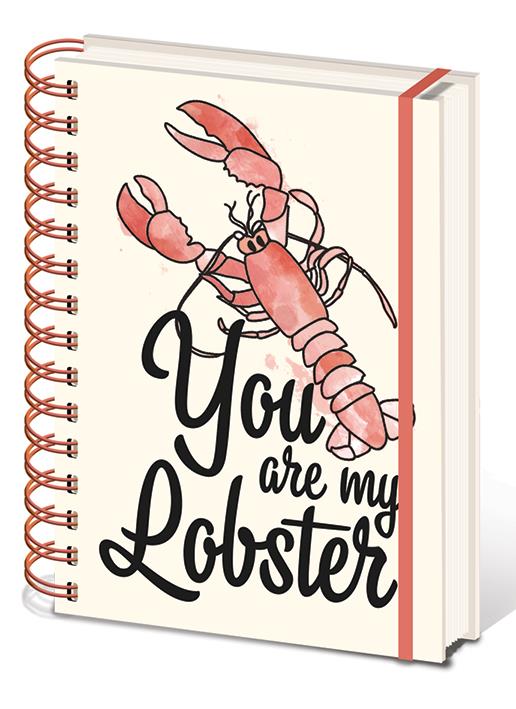 FRIENDS (YOU ARE MY LOBSTER) A5 NOTEBOOK